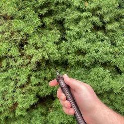 ZU Bladeworx Warmonger MK2